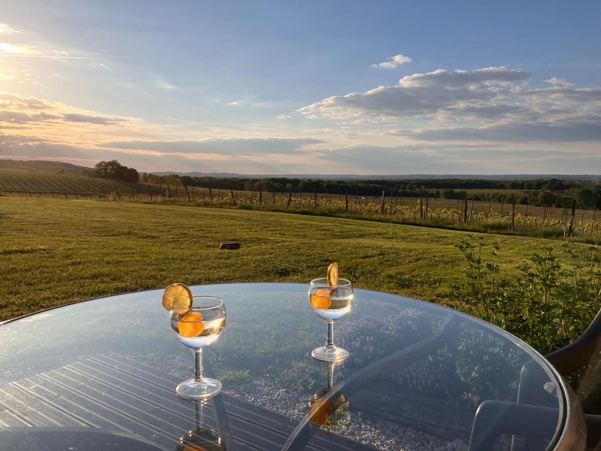 Perigourdine Avec Spa Et Vue Pomport エクステリア 写真